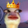 audyrzkyaaaa