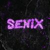 senix_zxzx