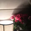justjxline