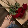 imene_maya.dz