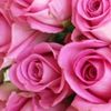 sureny5