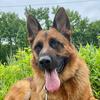 kaiser_the_westgsd