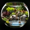 florarium_krasnodar