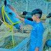 aunali4278