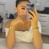 nari_n19