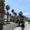 fallcheikh773