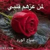mbarka.mbarka921