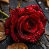 mohammad_almuslim