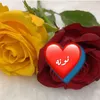 nunaa261