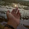 panduganteng175