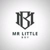 mr.littleboy_22