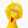 big_bird_og_baddie