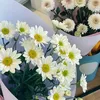 minta_6399