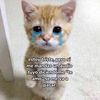 eitan_1203