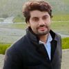 msalmanalam0