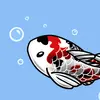 koi.splash