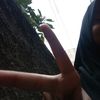 rah_1811