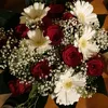glams43