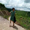 zebnam273