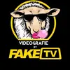 Video Fake TV