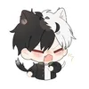sasimi_dp