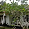 alimnaomi