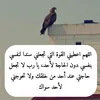 hassnatitrit87