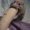 aliciamiabaldeon.8