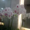 ____niki__ta