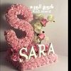 sarayasser3556