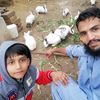 m.idrees563