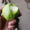 ringgoringgo77