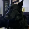 kariholka