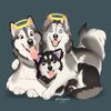 ThatPNWFluffLife
