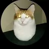 dyflxquhjf9d