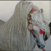 hassan.tbourida