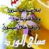 dy11g0jjq5s1