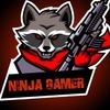 ninja_gamer347