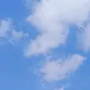 zdkl_2