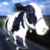 filker_006
