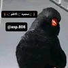 🚶🦅محميه 🦅كاظم 🦅🚶