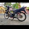 gigiompongkelinci