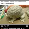 zmsssxd