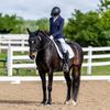 ella_dressage