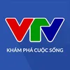 VTV2 Chất lượng Cuộc Sống