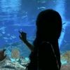 qhaira_nawra