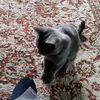 petr01241952