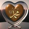 janahmed300