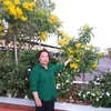 phuongnguyen19731