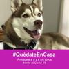 claudia.pineda21